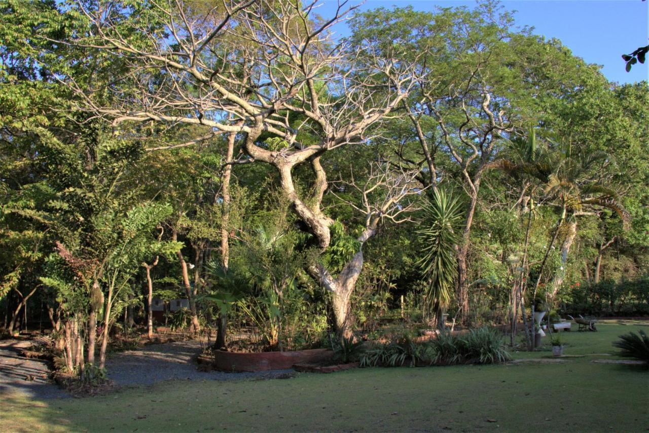 Casa no bosque com piscina e lareira a 1,2 km do centro Chapada dos Guimarães Exterior foto