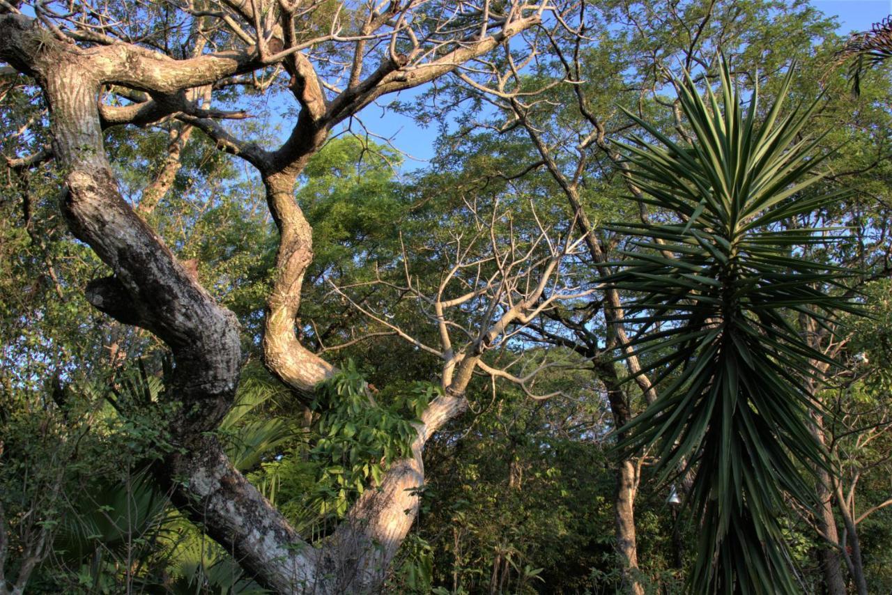 Casa no bosque com piscina e lareira a 1,2 km do centro Chapada dos Guimarães Exterior foto