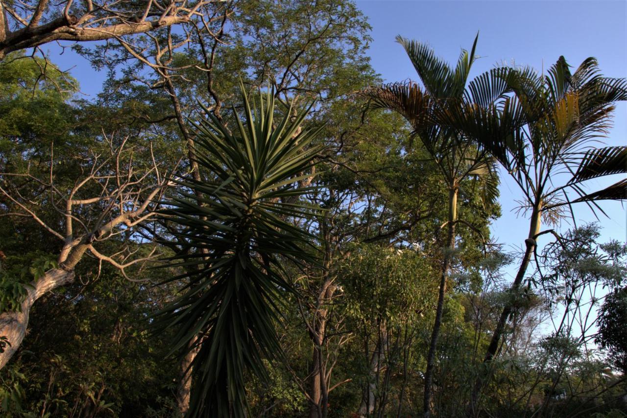 Casa no bosque com piscina e lareira a 1,2 km do centro Chapada dos Guimarães Exterior foto