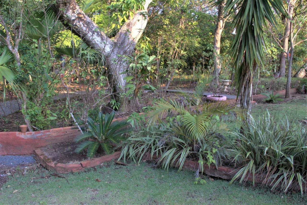 Casa no bosque com piscina e lareira a 1,2 km do centro Chapada dos Guimarães Exterior foto